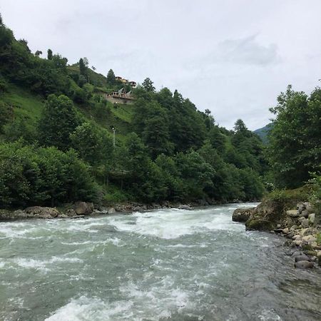 Afara Bungalows Otel & Cafe Rize Zewnętrze zdjęcie