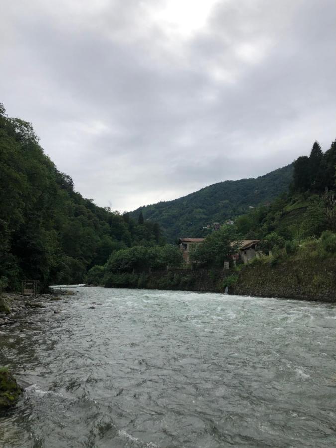 Afara Bungalows Otel & Cafe Rize Zewnętrze zdjęcie
